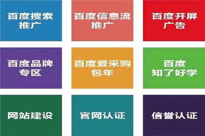 成功SEM代理案例：精准投放的策略